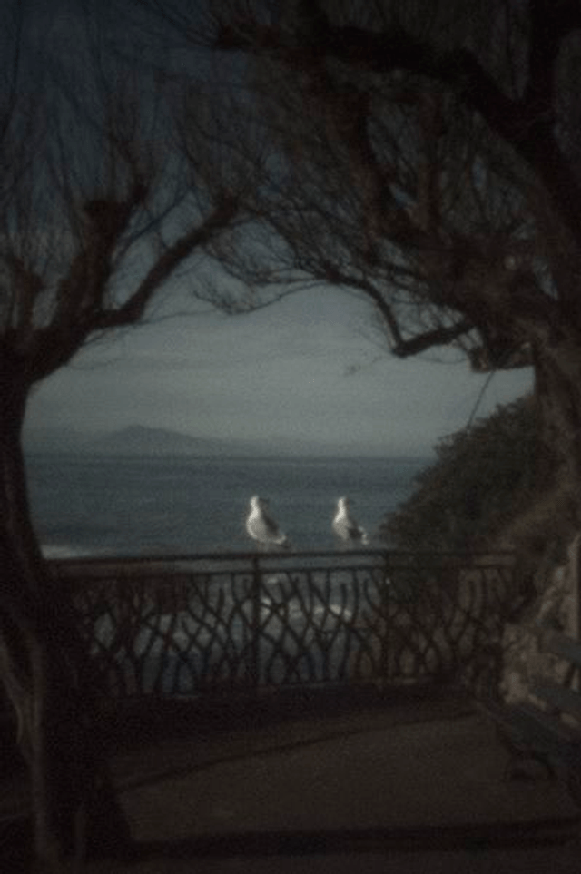 28# . La petite alcôve 